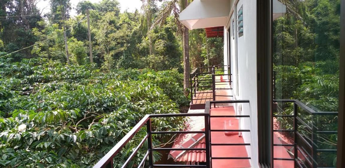 Homestay Coorg Heaven Plantation Madikeri